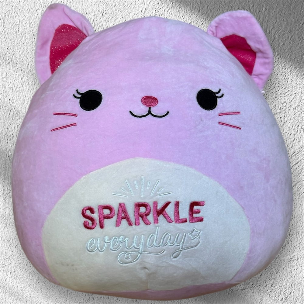 Squishmallows Kristina Cat Sparkle Everyday Inspiration Messages 16" Plush Doll